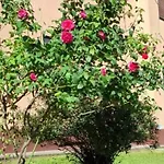 King's House منزل للإقامة