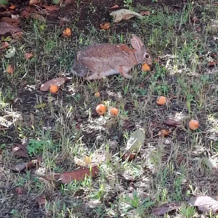 King's House Проживание в семье