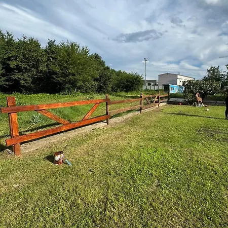 Проживание в семье King's House *