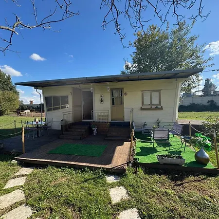 King's House Проживание в семье Roletto