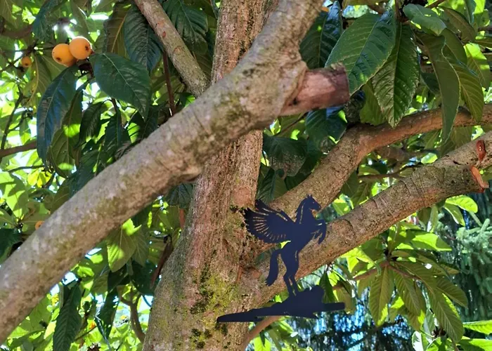 King's House Kwatera prywatna Roletto