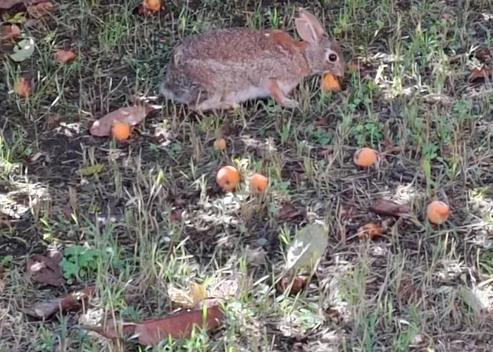 King's House Pansiyon
