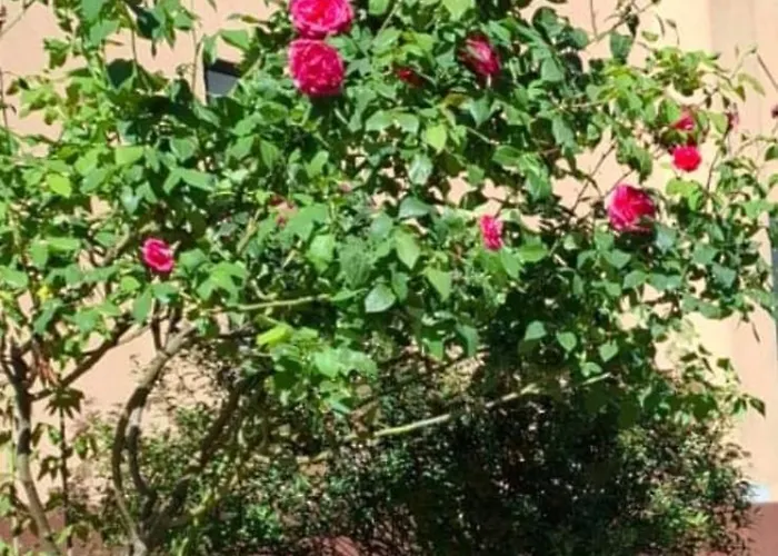 King's House Kwatera prywatna